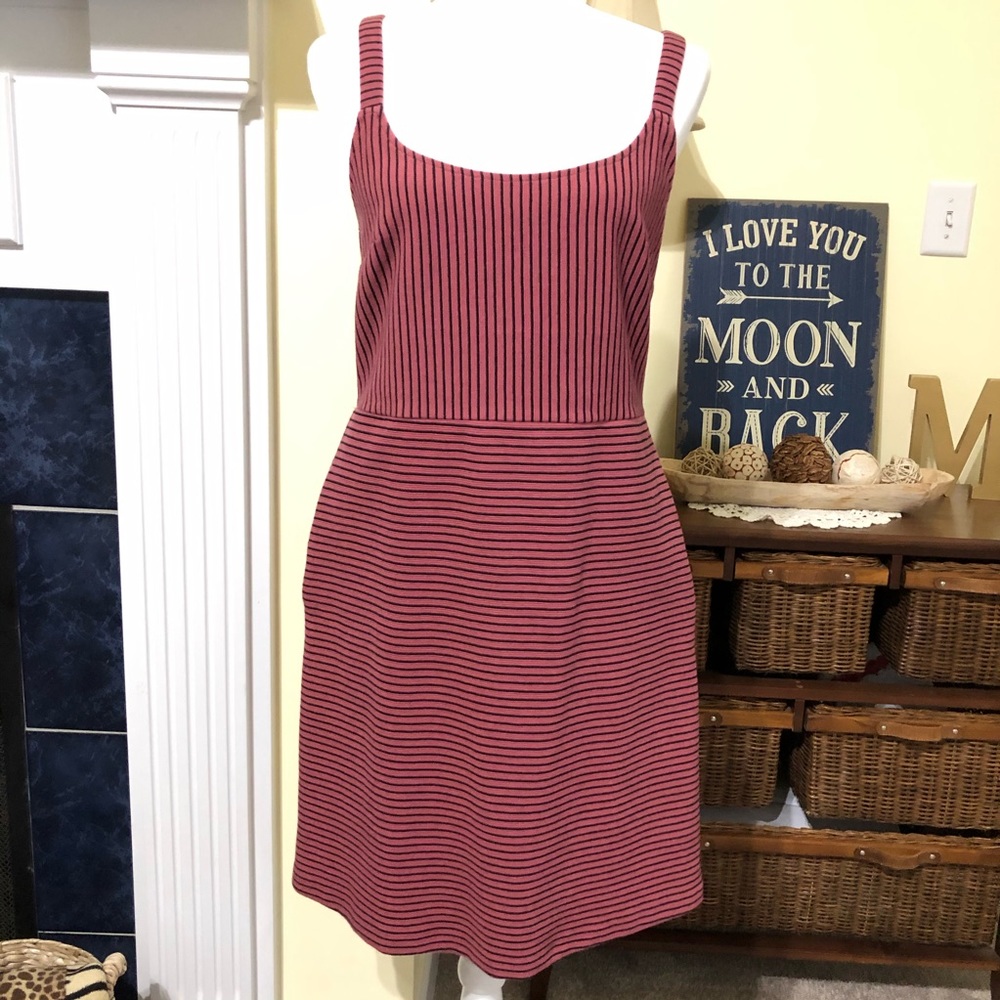 Loft Striped Dress Size 6 Mauve and Black